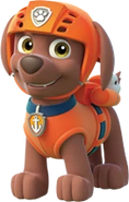 Zuma % 28PAW Patrol% 29