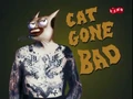 Cat Gone Bad