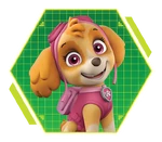PAW-Patrol-character-Skye