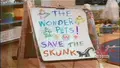 Save the Skunk!
