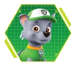 PAW-Patrol-character-Rocky