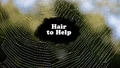 Title-HairToHelp