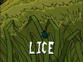 Title-Lice