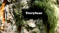 Title-Terrybear