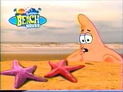 Patrick sees real starfish