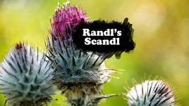 Randl's Scandl