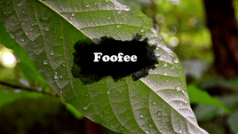 Foofee