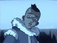 ATLA S01E03 The Southern Air Temple-155411 Sokka.jpg (67 KB)
