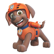 Cat Zuma, PAW Patrol Wiki