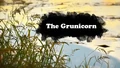 Title-TheGrunicorn