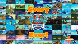 Every PAW Patrol Ever!