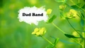 Title-DadBand
