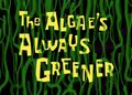 The Algae's Always Greener