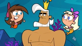 Timmy, König Neptunfisch & Chloe.