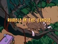 Rumble in the Jungle title