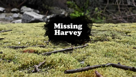 Missing Harvey
