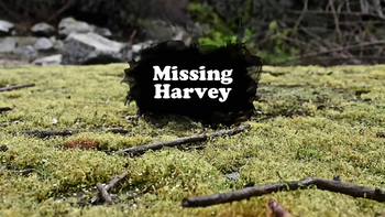 Missing Harvey