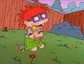 Chuckie's Duckling