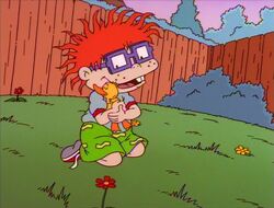 Chuckie's Duckling.jpg