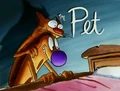 The Pet