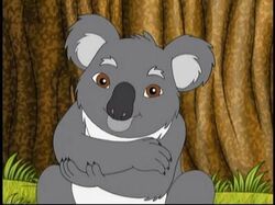 Koala's Birthday Hug.jpg