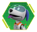 PAW-Patrol-character-Robo-Dog