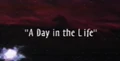 Dayinlife
