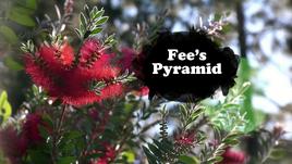 Fee's Pyramid