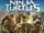 Teenage Mutant Ninja Turtles (Film)