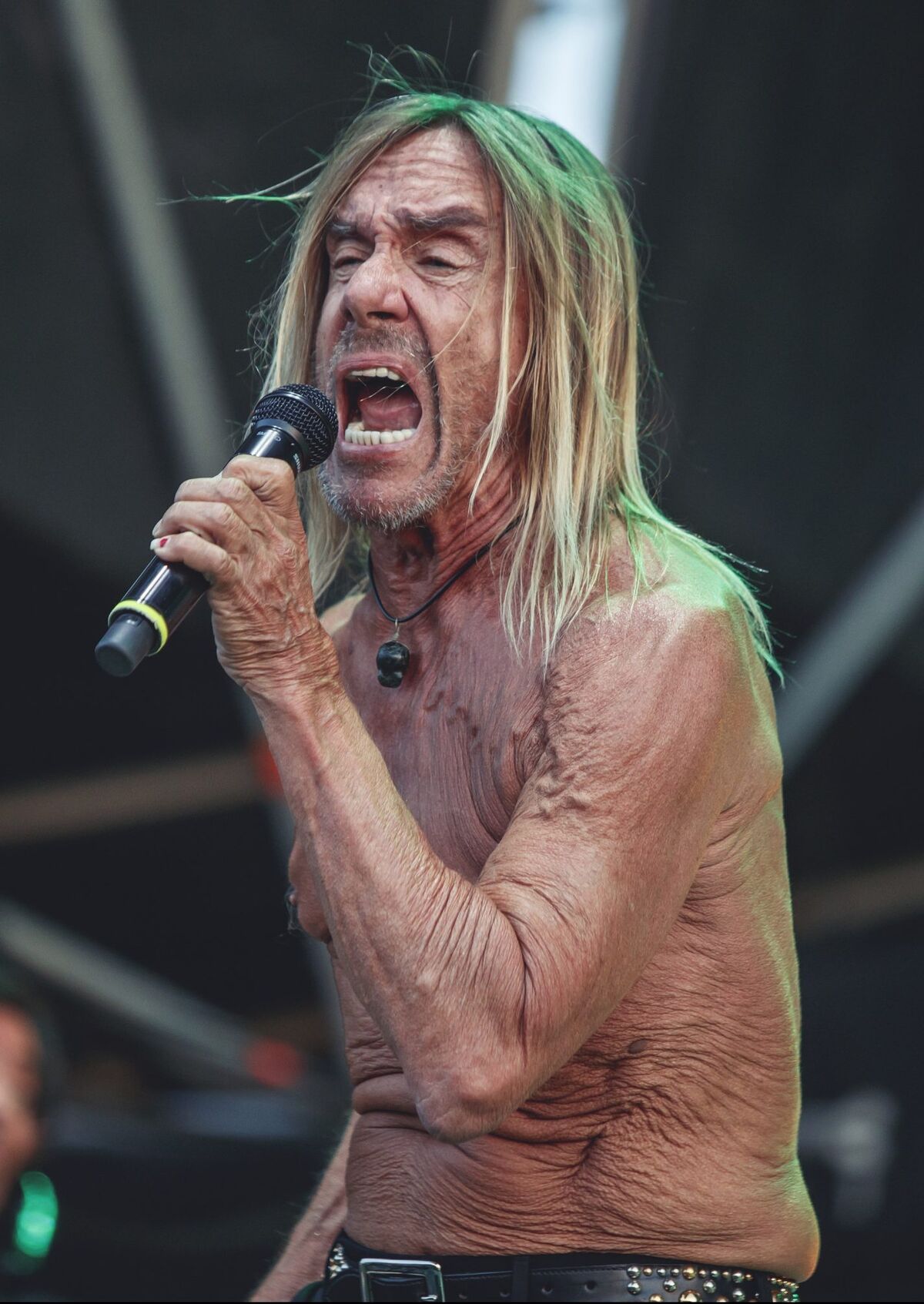 Iggy Pop Nickelodeon Fandom