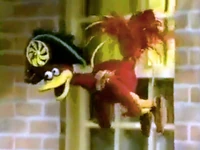 Pinwheel-Admiral-Bird-flying.jpg (164 KB) Flying