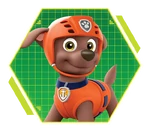 PAW-Patrol-character-Zuma