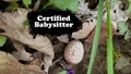 Title-CertifiedBabysitter