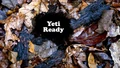 Title-YetiReady