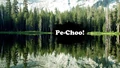Title-PeChoo