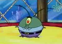 Fat plankton