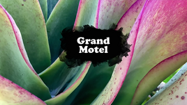 Grand Motel