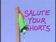SaluteYourShorts.png