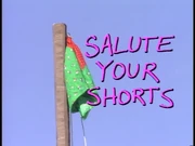 SaluteYourShorts