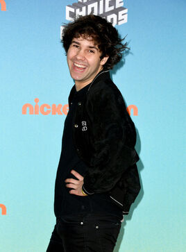 David Dobrik