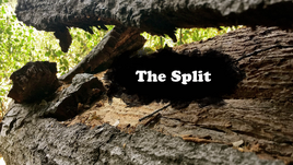 The Split