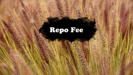Repo Fee