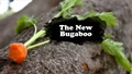 Title-TheNewBugaboo