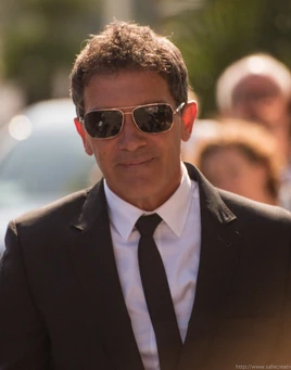 Antonio banderas (cropped)