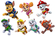 Paw-Patrol-Packaging