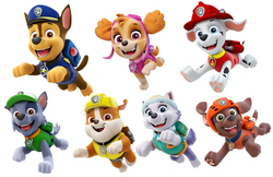 NICKELODEON Paw Patrol - Zoomer - Everest - Paw Patrol - Zoomer - Everest .  shop for NICKELODEON products in India.