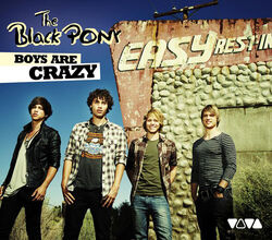 The Black Pony - Boys Are Crazy