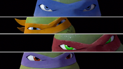 Turtles eyes.png