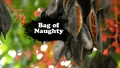 Title-BagOfNaughty