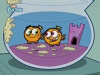 Apartnership210.jpg (43 KB)